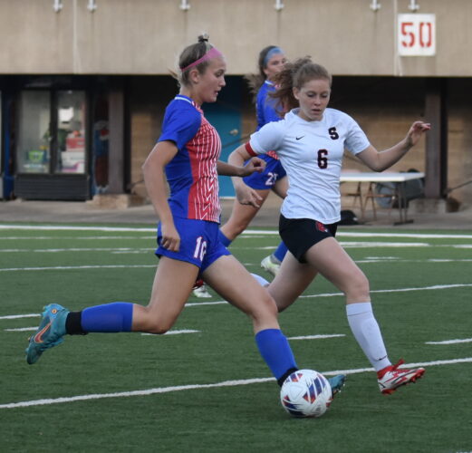 Patriots Prevail in OVAC Quarterfinal